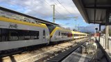 12.Nov.2019 Kuppeln und Flügeln d19