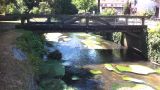 Am Narrenbrunnen 2014-03