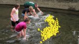 Entenrennen 2015-33