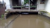 Hochwasser Mühle vor Eichstetten 2016-03