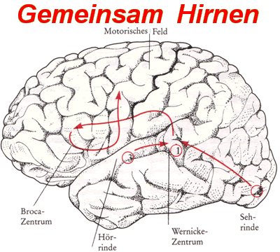 Gemeinsam@Hirnen