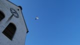 Storchberingung 2019-09