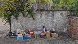 Verschenktag Gottenheim 2021-04