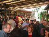 Gottenheimer Hahleraifest 2004-26