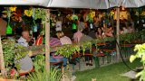 Gottenheimer Weinfest 2012-34