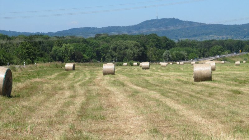 Weiter zu Jahreslauf