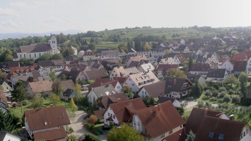 Weiter zu Panorama