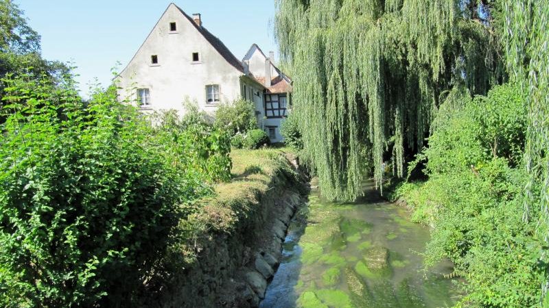 Weiter zu Spaziergang