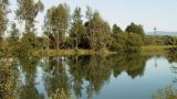 Blick über den Angelweiher