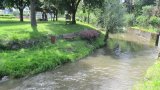 Dorfbach 2016