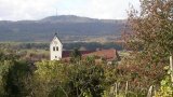 Blick vom Hohberg zur Kirche 2005