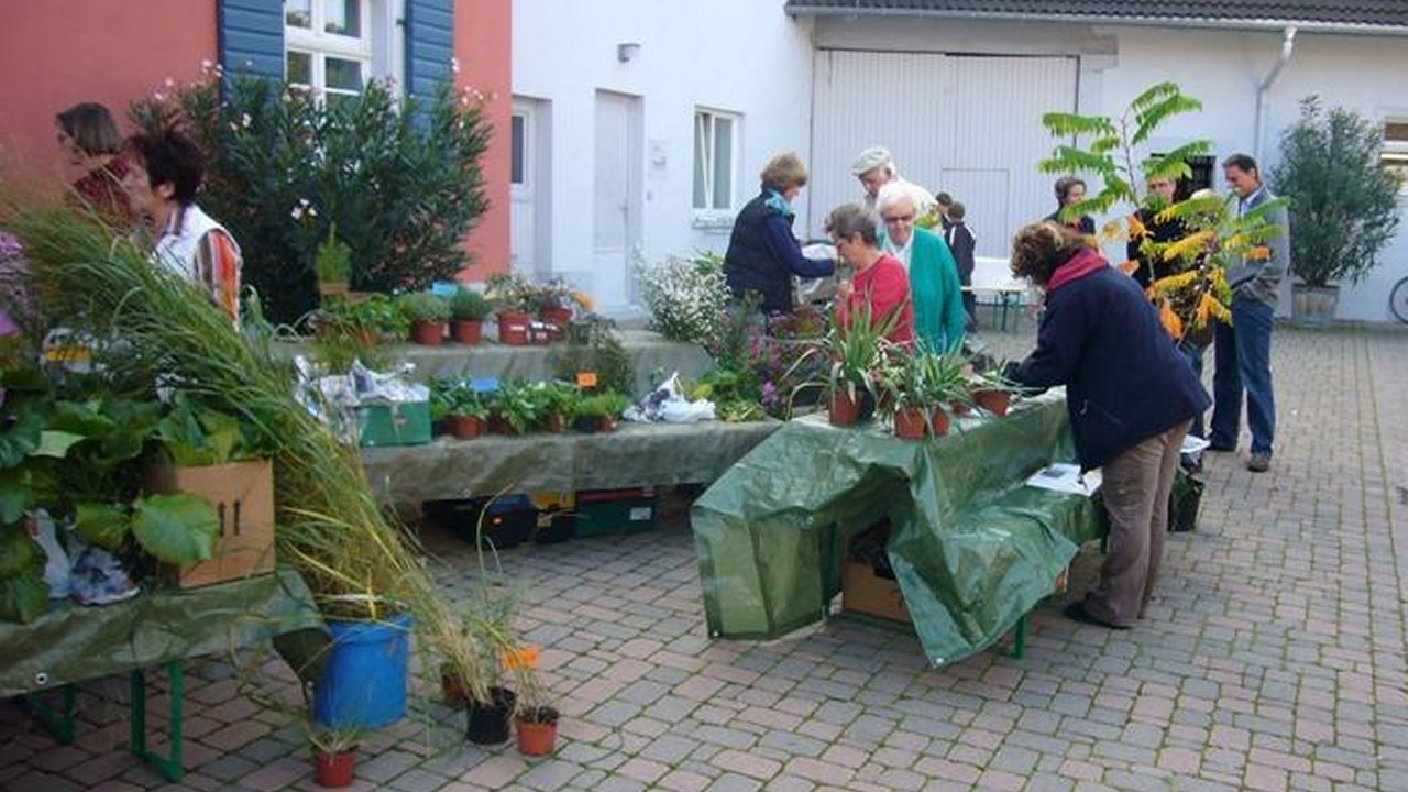 Weiter zu staudenmarkt