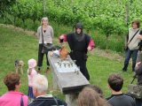 Königsgrab+Rebensaft 2010-07