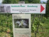 Heil- und Hexenkräuterweg 2008-01