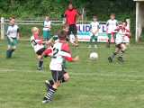 F-Jugendturnier 2005-12