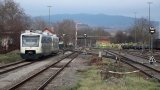 Fahrt mit Rebenbummler 2019-32