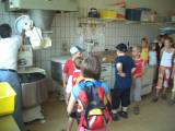 SFP 2005-61