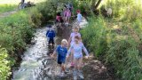 SFP 2016-08