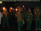 Fackelumzug 2010-01