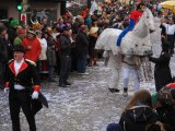 Umzug 2010-17
