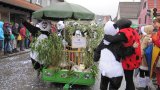 Umzug 2016-16