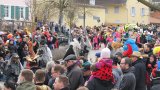 Umzug 2017 Umzug 2017