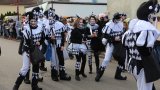 Umzug 2017-17