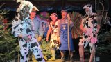 Sängerfasnet 2012-30