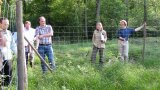 Waldbegehung 2011-13