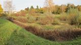 Rückhaltebecken Gottenheimer Rebberg