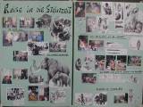 Projekttage 2000-13