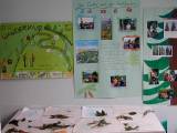 Projekttage 2000-15