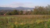 Wandern 2003-03