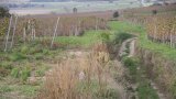 Wandern 2003-11