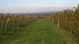 Wandern 2003-13