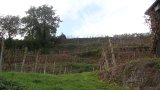 Wandern 2003-28