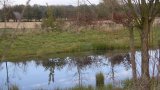 Wandern 2003-39