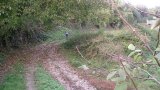 Wandern 2003-44
