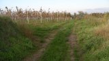 Wandern 2003-50