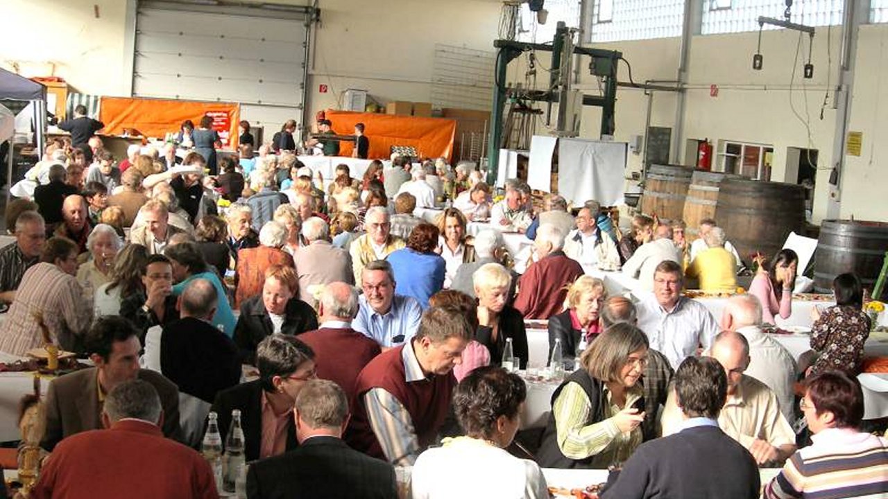 Weiter zu Zander