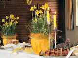 Brunch 2005-18