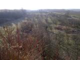 Weinberge blick_laeng