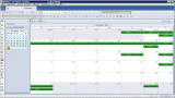 Lotus Notes Calendar